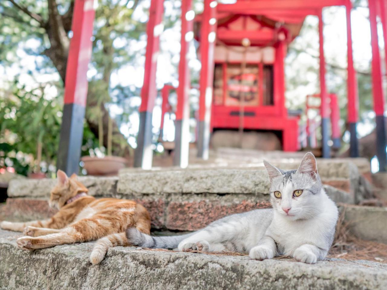 山城天嵐庭園民宿 Пули Экстерьер фото